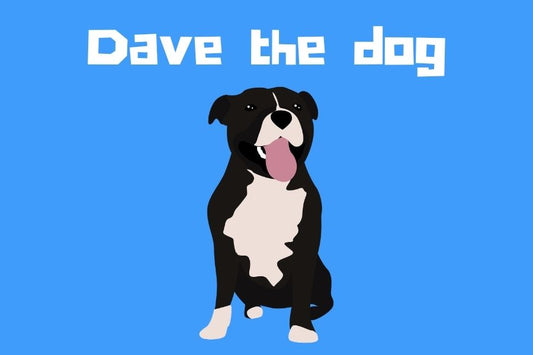 Sneaky peek: Dave the dog
