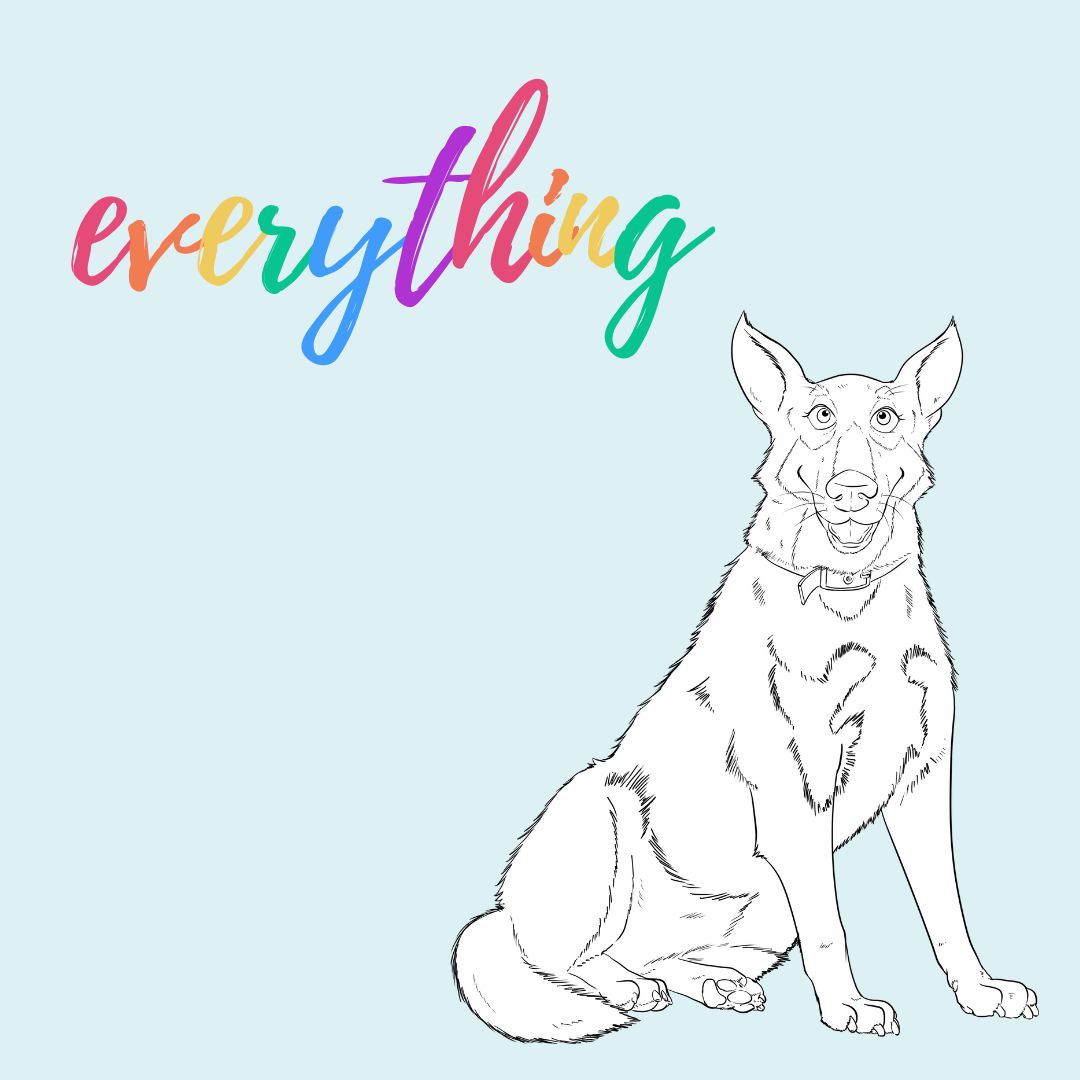 A smiling cartoon dog. Text reads: everything